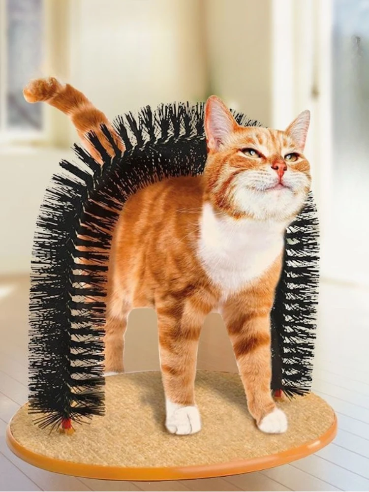 Chat roux passant sous l’arche de massage à brosses dans un salon lumineux