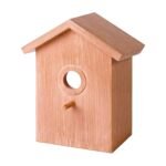Nichoir de fenêtre à ventouses avec dos transparent pour observer les oiseaux nicheurs de près