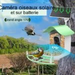 Caméra pour oiseaux avec Wi-Fi et panneau solaire pour observer en direct les oiseaux à la mangeoire sur votre téléphone – Image 2